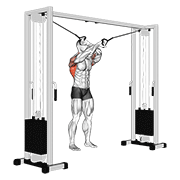 Lat pulldown animation